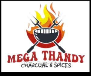 Thandy logo 1 300x251